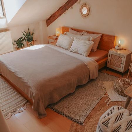 Cozy Apartment In The Heart Of The Historic City Bratislava Exteriör bild