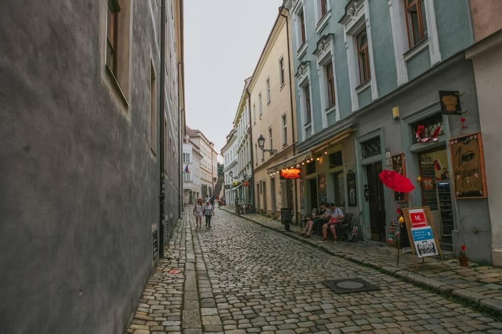 Cozy Apartment In The Heart Of The Historic City Bratislava Exteriör bild
